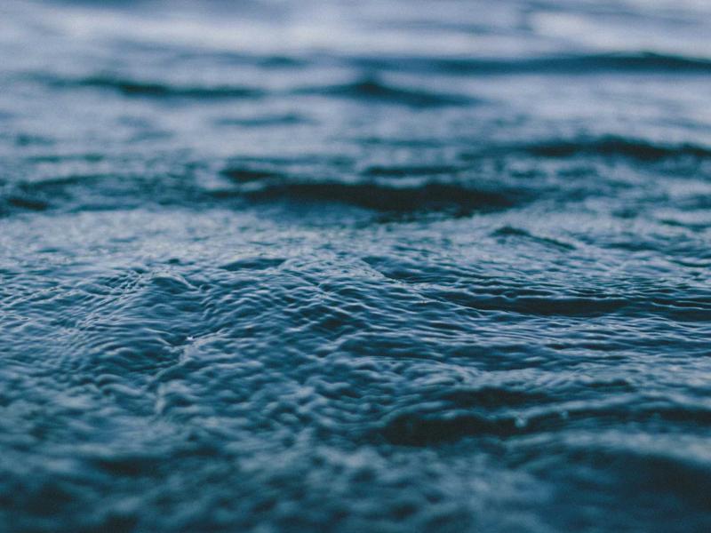 Residencial Palmeiras